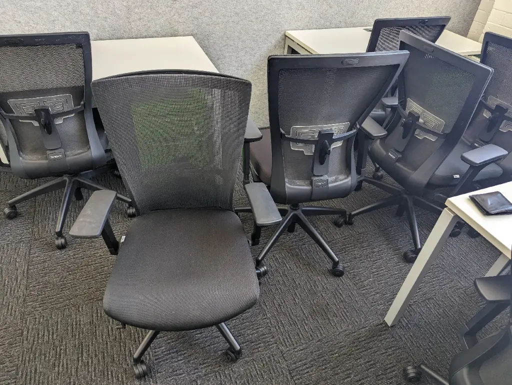 Executive Mesh Office Chair with Armrests